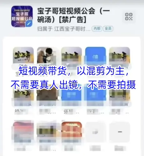 宝子哥头部团队短视频带货，以混剪为主，不需要真人出镜，不需要拍摄【更新26年3月】-冒泡网