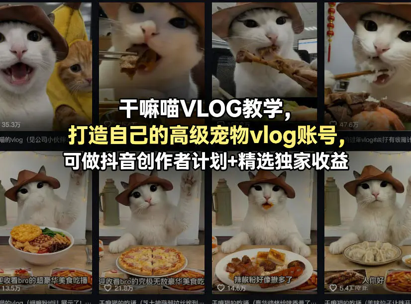 干嘛喵VLOG教学，打造自己的高级宠物vlog账号，可做抖音创作者计划+精选独家收益-冒泡网
