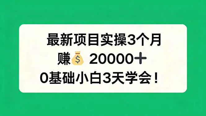 最新项目实操3个月，赚钱20000+，0基础小白3天学会！-冒泡网