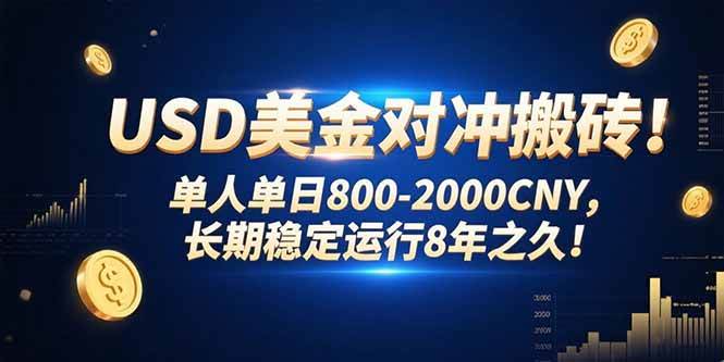 （15551期）USD美金对冲搬砖!单人单日800-2000CNY，长期稳定运行8年之久!-冒泡网
