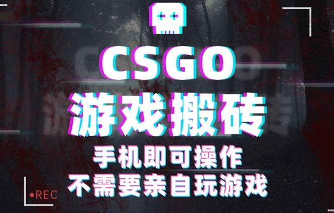 （16090期）CSGO游戏挂机捡漏，单日扫货500+，年底小高峰上车可吃肉，手机即可操作…-冒泡网