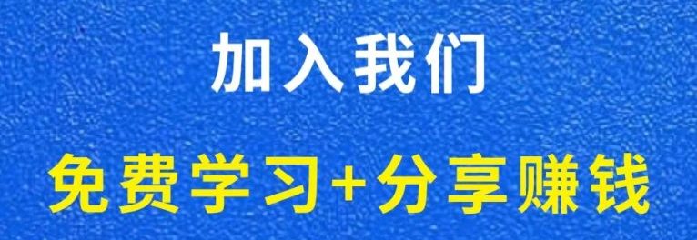 白菜价解锁20000+N个赚钱机会，加入冒泡网会员，全站资源免费学习。-冒泡网